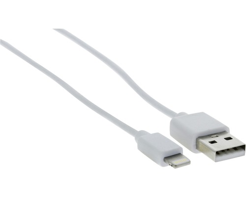 USB-kabel met Lightning-aansluiting