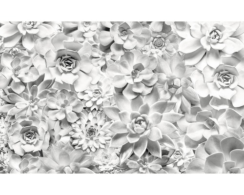 KOMAR Fotobehang vlies P962-VD4 Shades Black and White 400x250 cm