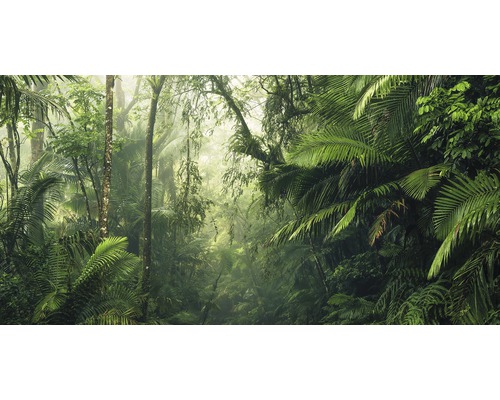 KOMAR Fotobehang vlies PSH098-VD5 Tropical worlds 500x250 cm-0