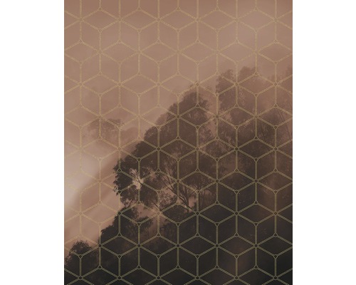 KOMAR Fotobehang vlies PSH099-VD2 Golden Grid 200x250 cm