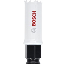 Gatzaag van Bosch