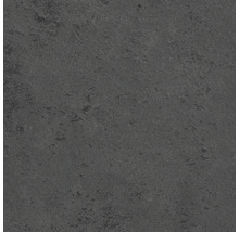 SCHULTE Douche achterwand ExpressPlus DecoDesign 255x150 cm antraciet