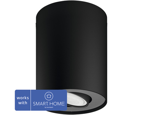 PHILIPS Hue White Ambiance LED opbouwspot Pillar zwart