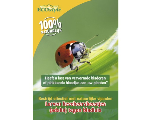 ECOSTYLE Larven van lieveheersbeestjes tegen bladluis 100 st