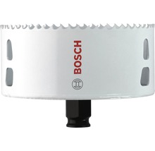Bosch gatenzaag