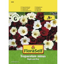 FLORASELF® Oost-Indische kers Night and Day Tropaeolum minus bloemenzaden