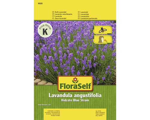 FLORASELF® Lavendel Hidcote Blue Strain Lavandula angustifolia bloemenzaden