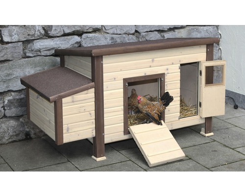 Houten kippenhok met kippen