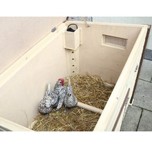 Open kippenhok met twee kippen en stro