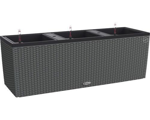 LECHUZA All-in-One Set Plantenbak Cottage Trio Kunststof grijs 100 x 32,5 x 34,5 cm LECHUZA All-in-One Set Plantenbak Cottage Trio Kunststof grijs 100 x 32,5 x 34,5 cm