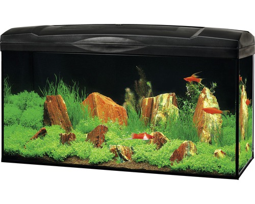MARINA Aquarium LED zwart 54 L, 60x30x30 cm