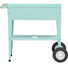 Plantenbakwagen met wielen en opbergplank