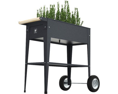 Metalen plantenbak op wielen met planten