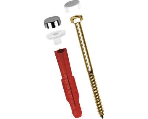 Schroef met plug en afdekkapjes