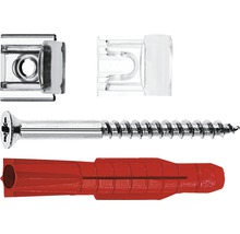 Bevestigingsset met schroef, plug en clip