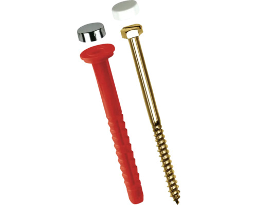 Bevestigingsschroef met plug en afdekkappen