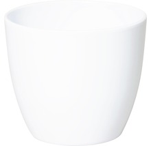 Witte bloempot
