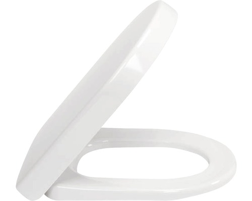 Kunststof toiletdeksel