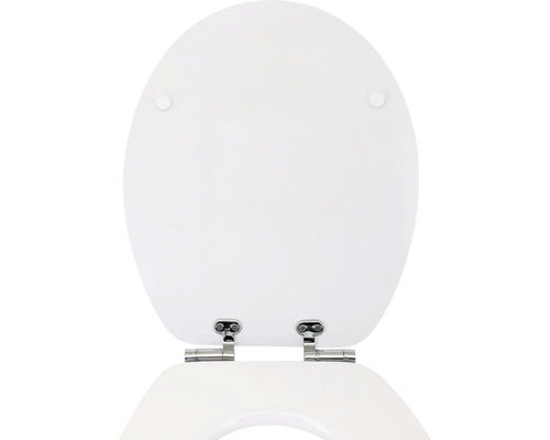 Toiletdeksel van kunststof met scharnieren