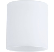 PAULMANN DecoSystems lampenkap Zyli glas wit-thumb-0 PAULMANN DecoSystems lampenkap Zyli glas wit-thumb-0