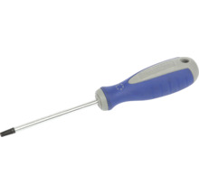 Torx schroevendraaier met blauw handvat