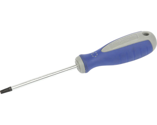 Torx schroevendraaier met blauw handvat