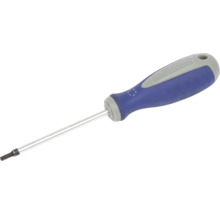 Torx schroevendraaier met blauw handvat