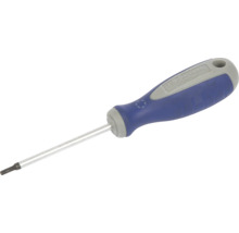 Torx schroevendraaier met blauw handvat