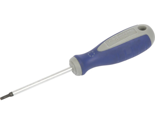 Torx schroevendraaier met blauw handvat