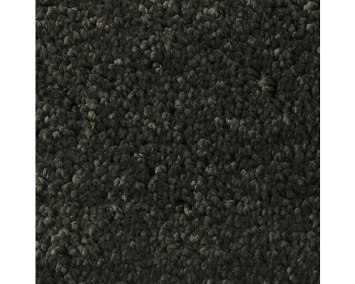Tapijt velours Sunshine zwart 400 cm breed (van de rol) Tapijt velours Sunshine zwart 400 cm breed (van de rol)