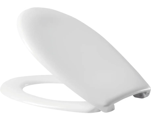 Toiletdeksel van kunststof