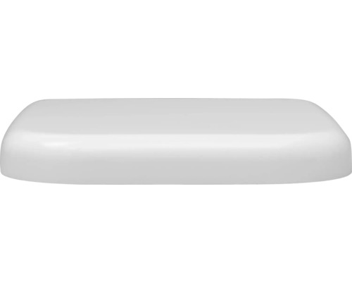 Plafondlamp in langwerpige vorm