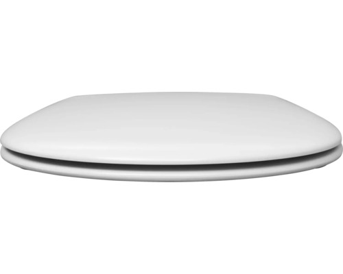 Toiletdeksel van kunststof