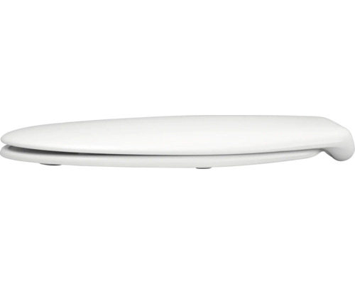 Toiletdeksel van sanitair keramiek