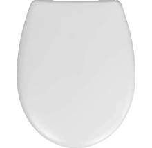 Toiletdeksel van kunststof