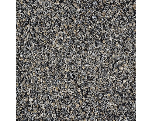 Overzicht van schelpkalksteen