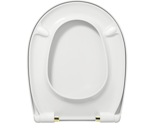 Toiletdeksel van kunststof