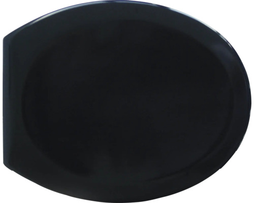 Toiletdeksel van kunststof