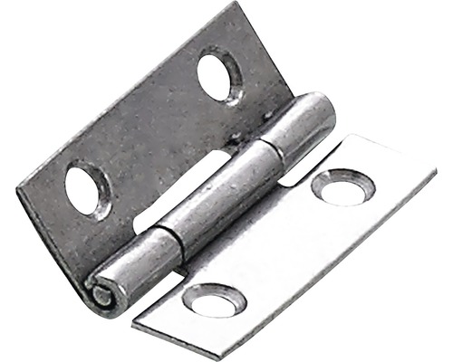 HETTICH Scharnier RVS 30x19 mm, 20 stuks Metalen scharnier met bevestigingsgaten