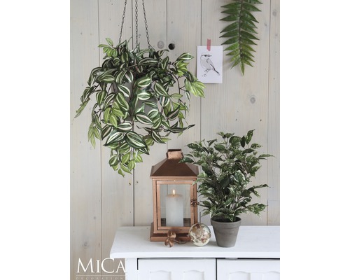 Decoratieve scène met hangplant, lantaarn, potplant en decoratieobject op een kast