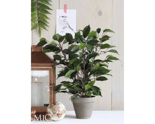 Decoratieve kunstplant in pot, arrangement met lantaarn en decoratie