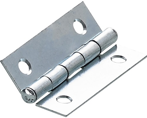HETTICH Scharnier 50x30 mm verzinkt, 10 stuks Metalen scharnier met schroefgaten