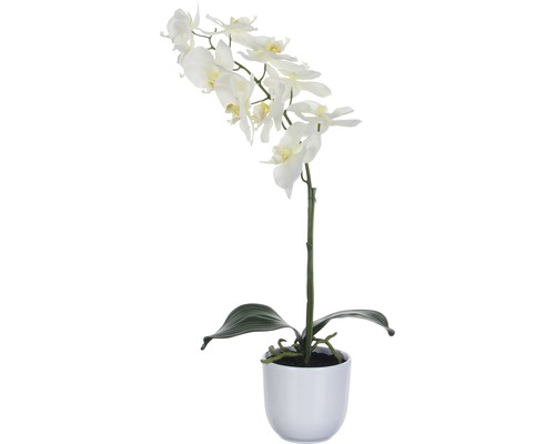 Kunstbloem Phalaenopsis in pot tusca wit H 60 cm Kunstorchidee in een pot