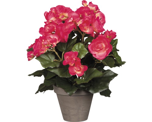 Kunstbloem Begonia, hoogte 30 cm, Ø 25 cm, roze