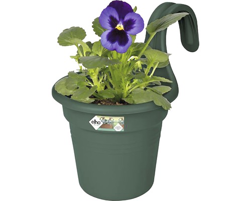 Hangende bloempot met viooltje