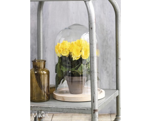 Gele bloemen in een glazen stolp op een metalen plank, naast een bruine glazen fles.