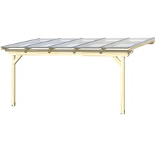Houten carport met transparant dak