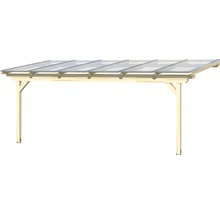 Houten carport met transparant dak