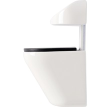 Wandcloset met diepspoeling in profiel