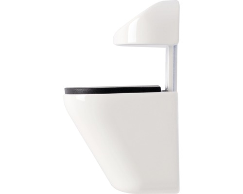 Wandcloset met diepspoeling in profiel
